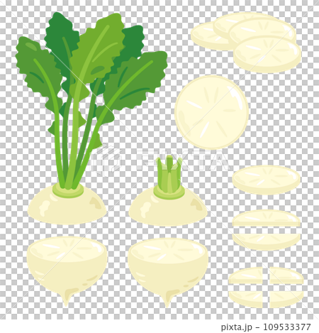 切蘿蔔套裝 109533377