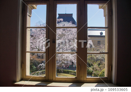 京都府庁旧館 109533605