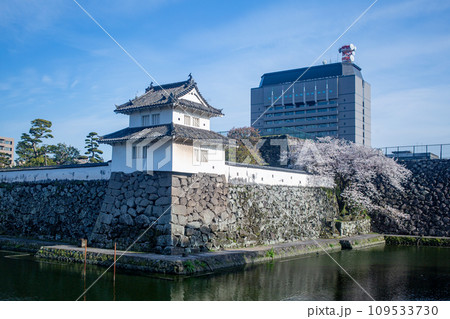 府内城址と桜 府内城址と桜 109533730