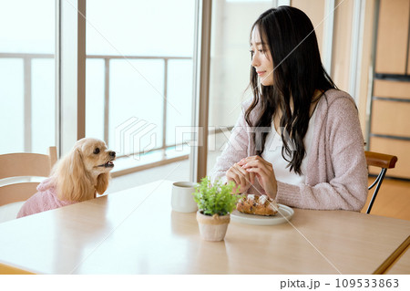 ダイニングテーブルでペット犬と朝食を食べる ダイニングテーブルでペット犬と朝食を食べる 109533863
