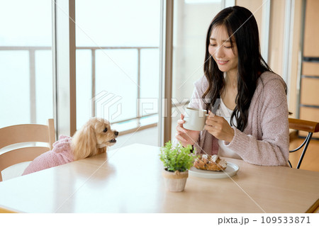 ダイニングテーブルでペット犬と朝食を食べる ダイニングテーブルでペット犬と朝食を食べる 109533871