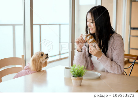 ダイニングテーブルでペット犬と朝食を食べる 109533872
