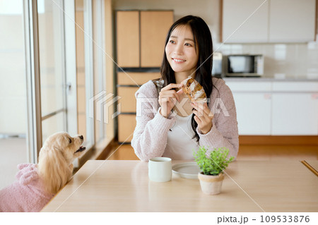 ダイニングテーブルでペット犬と朝食を食べる 109533876