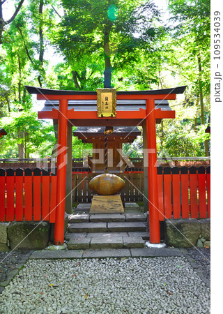 京都市下鴨神社の糺の森にあるラクビー神社 雑太社 京都市下鴨神社の糺の森にあるラクビー神社 雑太社 109534039