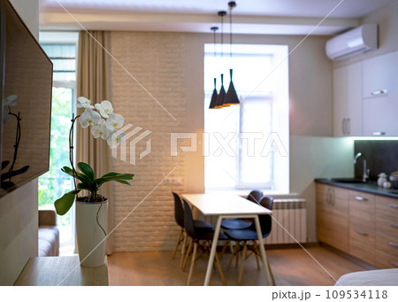 Small room with a sofa and kitchen set. Interior living room and kitchen. Interior of compact small house. Interior cottage Cooking area next to sofa. white orchid in a pot stands in the living room 109534118