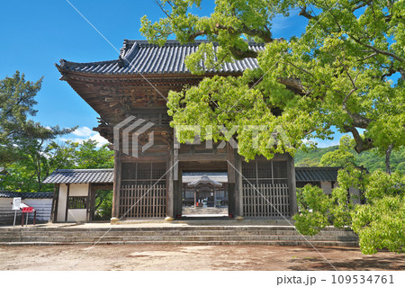 【周防国分寺】 山口県防府市国分寺町 109534761
