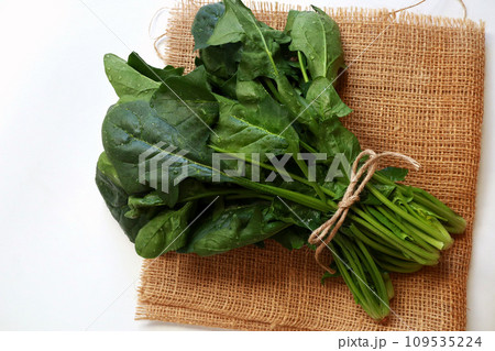 収穫したほうれん草 収穫したほうれん草 109535224