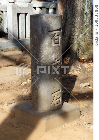 雑司ヶ谷鬼子母神堂(豊島) 雑司ヶ谷鬼子母神堂(豊島) 109535808