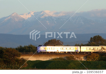 黄昏時の大雪山をバックに駆ける特急サロベツ　特急サロベツ　宗谷本線 109536037