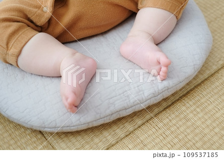 お昼寝中の膝が開いたカエル足 109537185