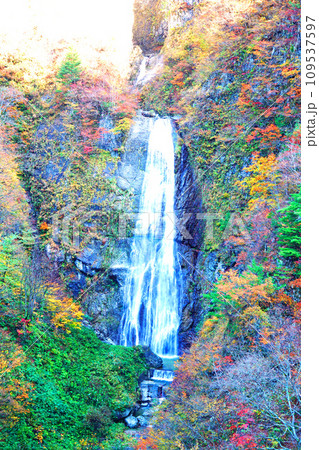 白山白川郷ホワイトロードの紅葉風景 しりたか滝 白山白川郷ホワイトロードの紅葉風景 しりたか滝 109537597