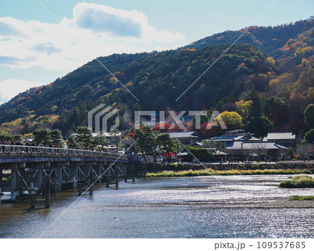 嵐山渡月橋から嵐山を望む 109537685