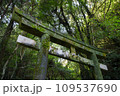廃神社 苔むした鳥居 109537690