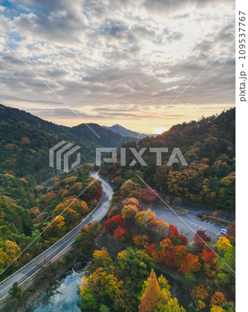 紅葉に染まる川 紅葉に染まる川 109537767