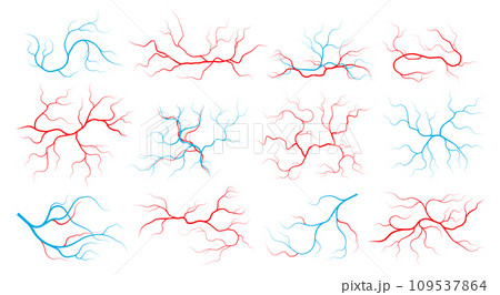 Veins and arteries. Human vascular system and blood vessels, red capillary vessels with stream of blood, healthy cardiovascular system. Vector set Veins and arteries. Human vascular system and blood vessels, red capillary vessels with stream of blood, healthy cardiovascular system. Vector set 109537864