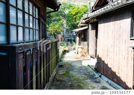【重要伝統的建造物群保存地区】豊町御手洗　墓地のある路地　広島県呉市 109538177