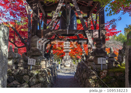 秋の京都　化野念仏寺　紅葉に包まれた西院の河原 109538223