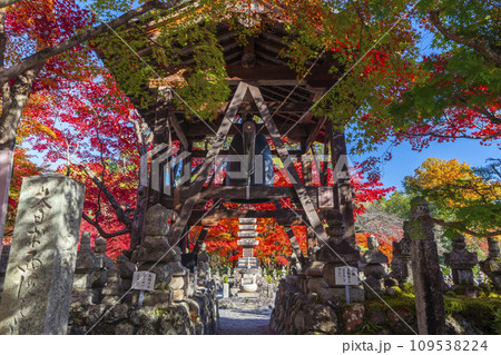 秋の京都　化野念仏寺　紅葉に包まれた西院の河原 109538224