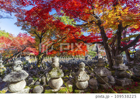 秋の京都 化野念仏寺 紅葉に包まれた西院の河原 秋の京都 化野念仏寺 紅葉に包まれた西院の河原 109538225