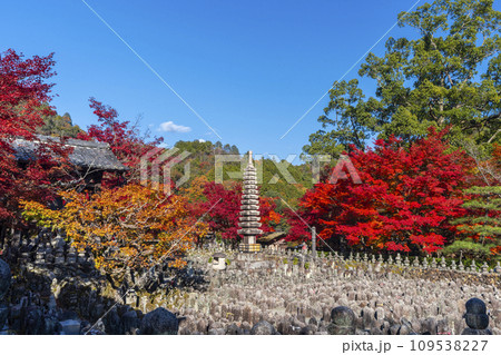 秋の京都　化野念仏寺　紅葉に包まれた西院の河原 109538227