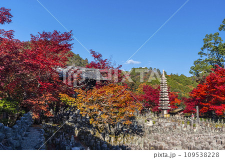 秋の京都　化野念仏寺　紅葉に包まれた西院の河原 109538228