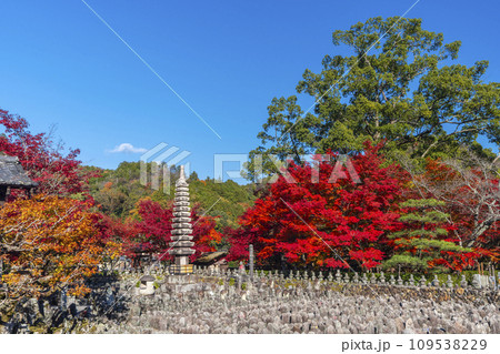 秋の京都　化野念仏寺　紅葉に包まれた西院の河原 109538229