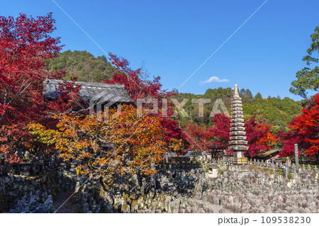 秋の京都 化野念仏寺 紅葉に包まれた西院の河原 秋の京都 化野念仏寺 紅葉に包まれた西院の河原 109538230