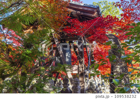 秋の京都　化野念仏寺　紅葉に包まれた鐘楼 109538232