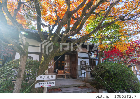 秋の京都 化野念仏寺 紅葉に包まれた本堂 秋の京都 化野念仏寺 紅葉に包まれた本堂 109538237