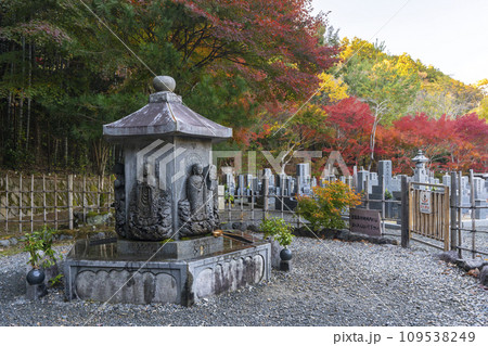 秋の京都 化野念仏寺 六面六体地蔵尊と紅葉 秋の京都 化野念仏寺 六面六体地蔵尊と紅葉 109538249