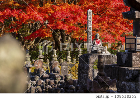 秋の京都　化野念仏寺　紅葉に包まれた西院の河原 109538255
