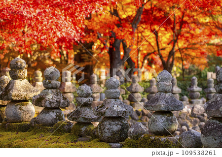 秋の京都　化野念仏寺　紅葉に包まれた西院の河原 109538261