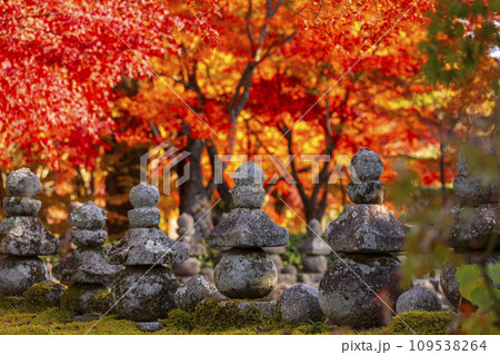 秋の京都　化野念仏寺　紅葉に包まれた西院の河原 109538264