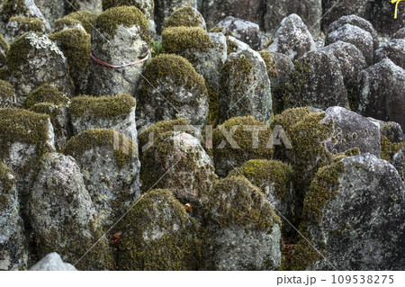 秋の京都　化野念仏寺　苔むした石仏 109538275