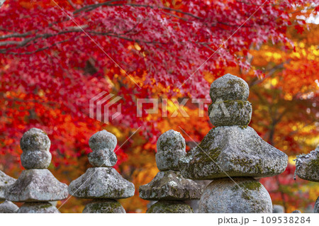秋の京都 化野念仏寺 紅葉に包まれた西院の河原 秋の京都 化野念仏寺 紅葉に包まれた西院の河原 109538284