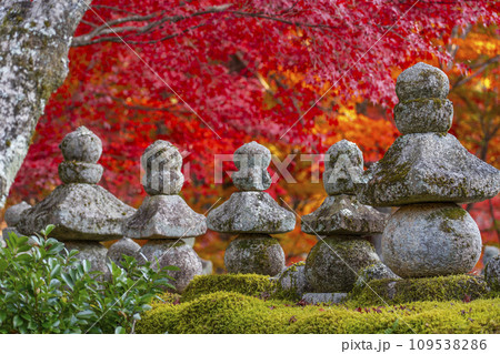 秋の京都　化野念仏寺　紅葉に包まれた西院の河原 109538286