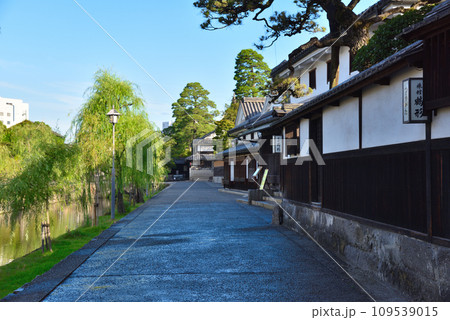 倉敷美観地区の街並み 109539015
