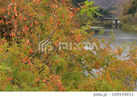 紅葉の只見線 紅葉の只見線 109539031