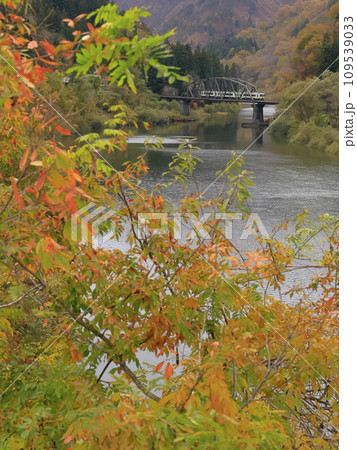 紅葉の只見線 紅葉の只見線 109539033