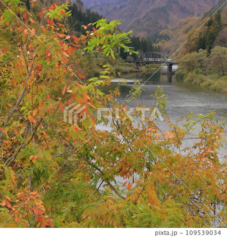 紅葉の只見線 紅葉の只見線 109539034