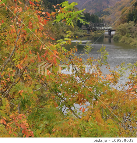 紅葉の只見線 紅葉の只見線 109539035