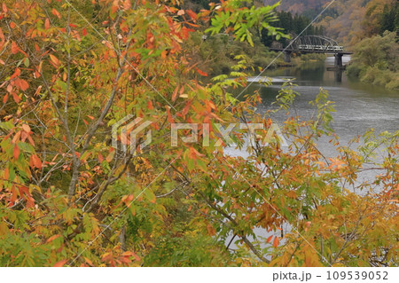 紅葉の只見線 紅葉の只見線 109539052