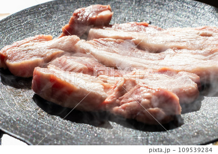 キャンプ飯、鉄板でやく豚肉 キャンプ飯、鉄板でやく豚肉 109539284