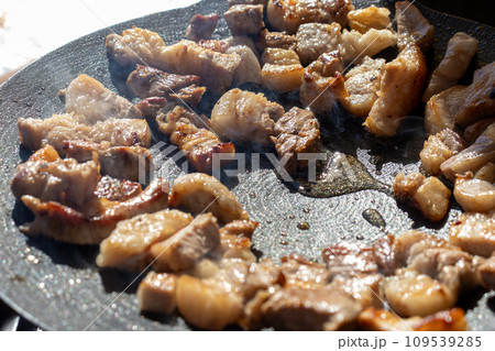 アウトドアの美食、野外で楽しむサムギョプサル 109539285