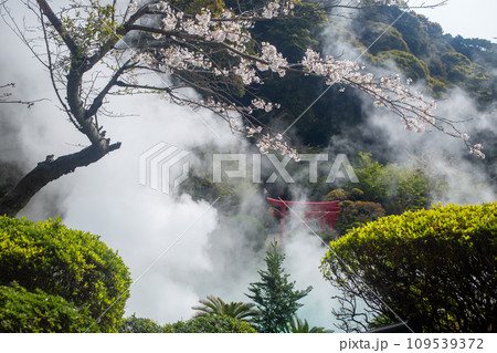 別府　海地獄 109539372