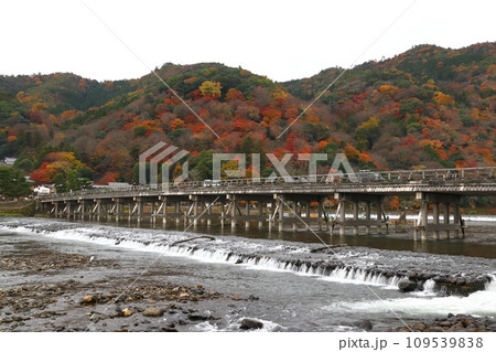 曇天の紅葉する桂川と嵐山、渡月橋(京都市右京区) 曇天の紅葉する桂川と嵐山、渡月橋(京都市右京区) 109539838