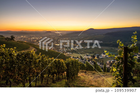 Ahr, Rhineland-Palatinate, Germany Ahr, Rhineland-Palatinate, Germany 109539907