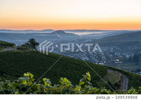 Ahr, Rhineland-Palatinate, Germany Ahr, Rhineland-Palatinate, Germany 109539908