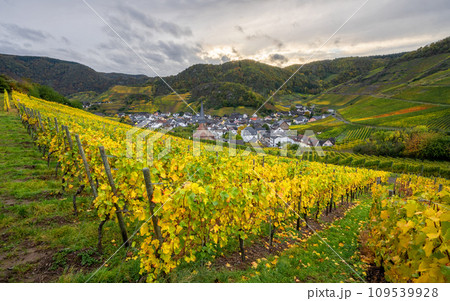 Mayschoss, Ahr, Rhineland-Palatinate, Germany Mayschoss, Ahr, Rhineland-Palatinate, Germany 109539928