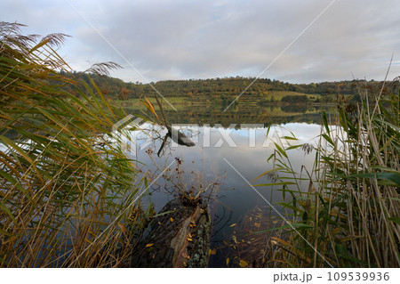 Eifel, Rhineland-Palatinate, Germany Eifel, Rhineland-Palatinate, Germany 109539936